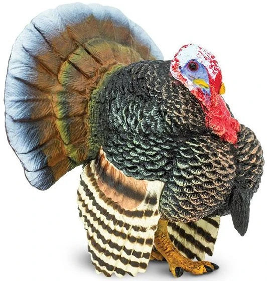Safari Ltd Mini Turkey