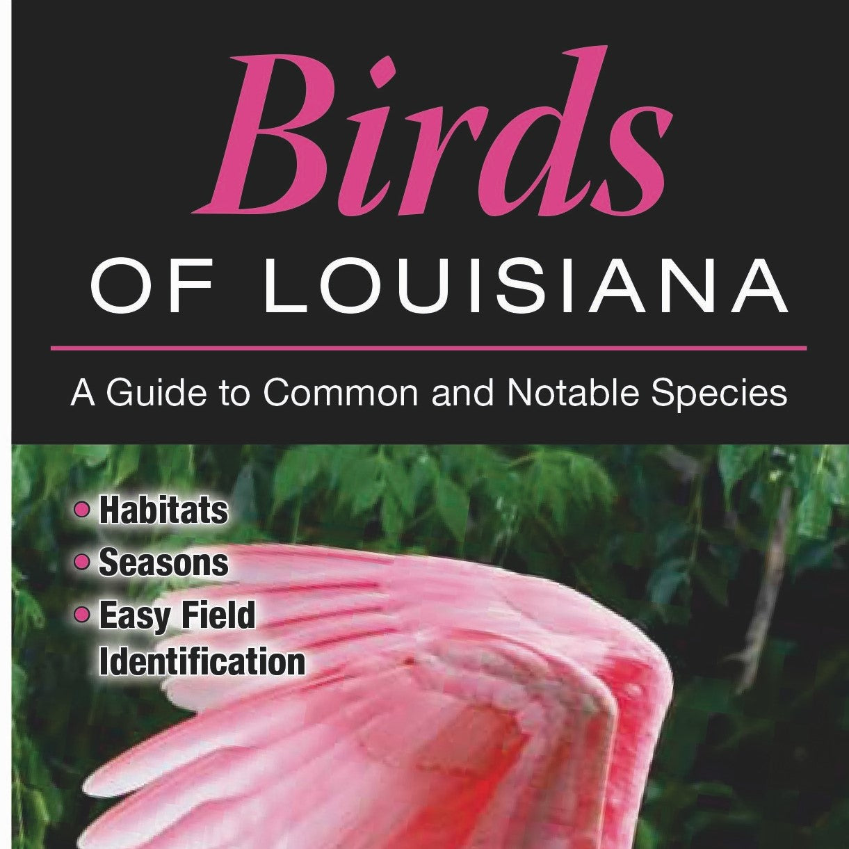 Birds of Louisiana Folding Guide