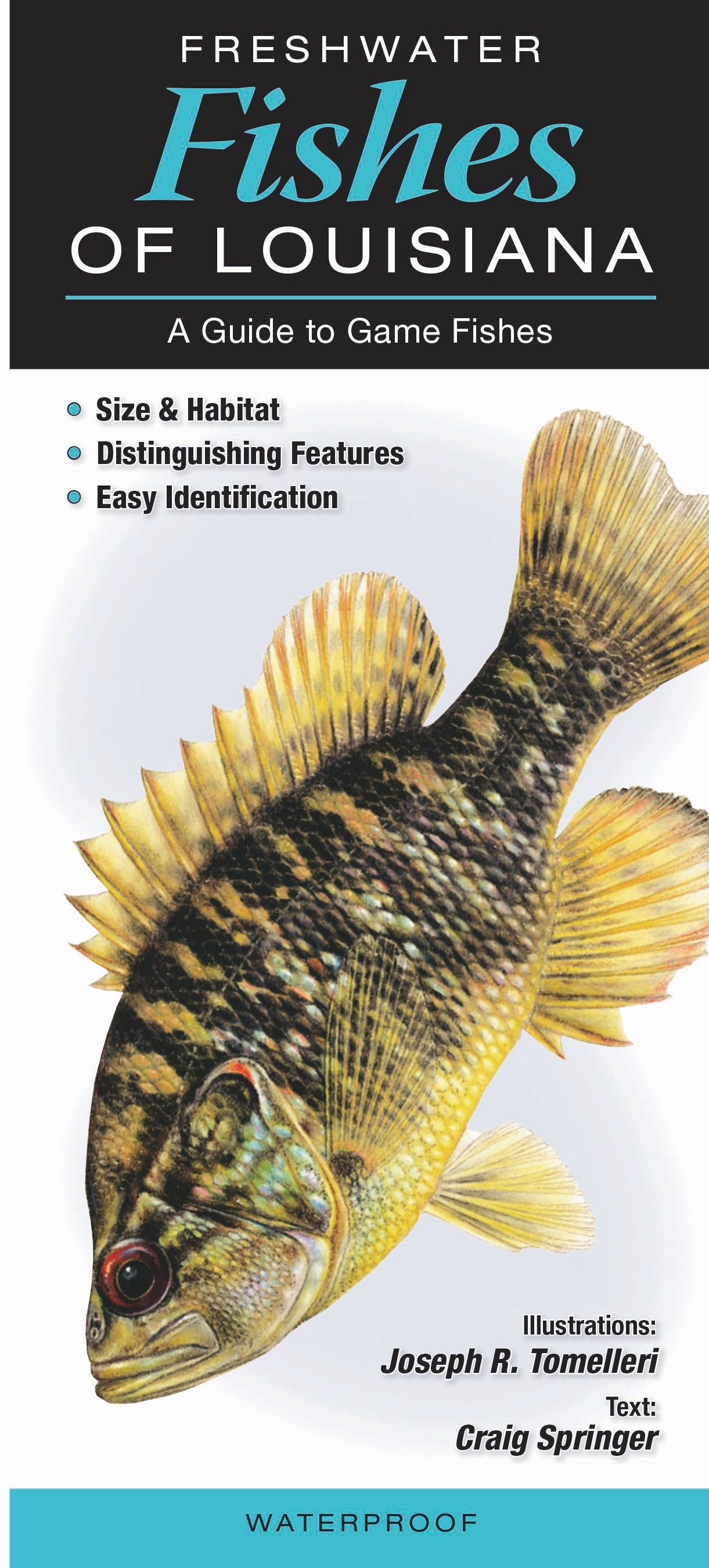 Freshwater Fish of LA Folding Guides