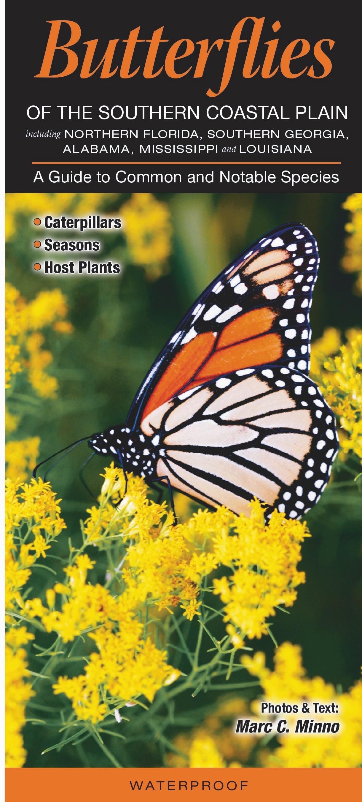 Butterflies of So Coastal Folding Guides