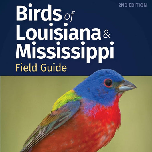 Birds of Louisiana & Mississippi Field Guide