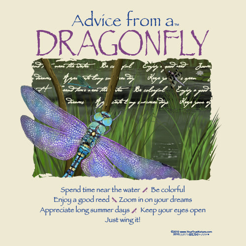 T-Shirt Advice Dragonfly