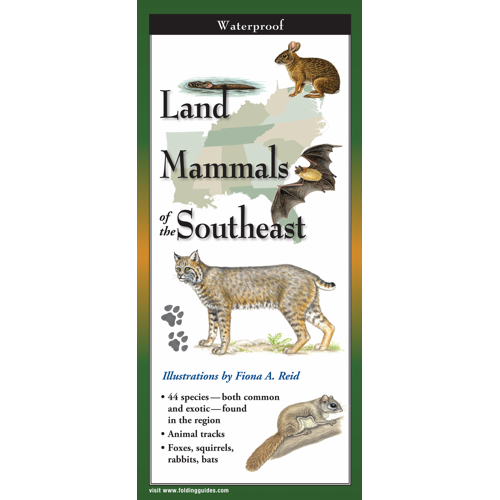 Land Mammals of the SE Folding G