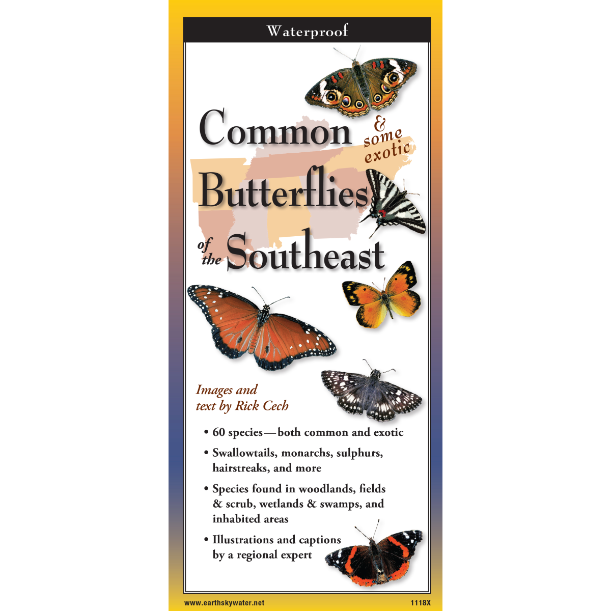 Common Butterflies of the SE Folding guide