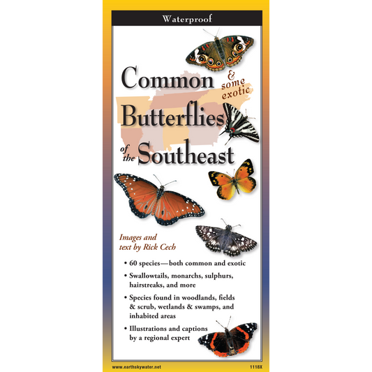 Common Butterflies of the SE Folding guide