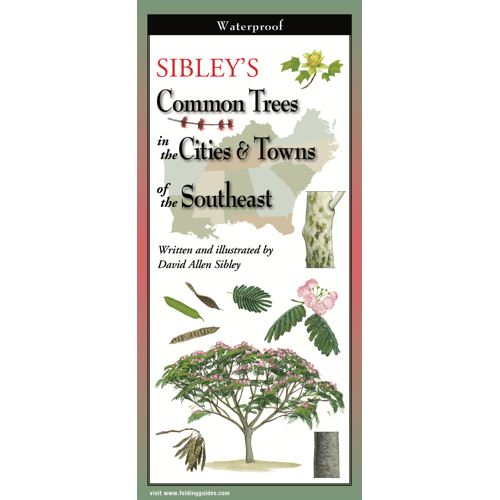 Sibley's Common Trees SE Cities