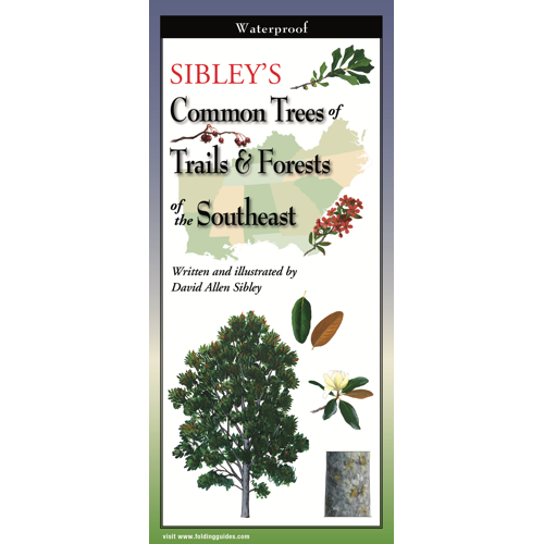 Sibley's Common Trees SE Trails