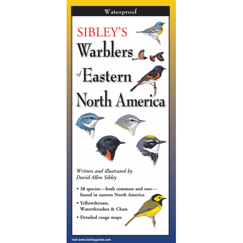 Sibley's Warblers of NA Folding