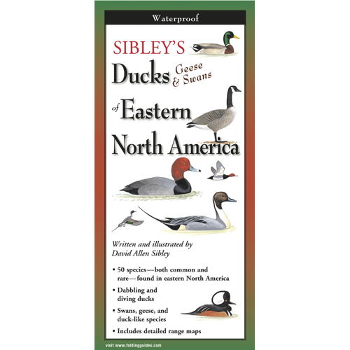 Sibley's Ducks & Geese of NA Fol