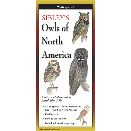 Sibley's Owls of NA Folding Guid