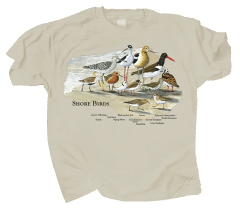 T-Shirt Shorebirds