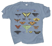 T-Shirt Lepidoptera
