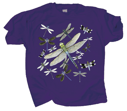 T-Shirt Dragon Flight