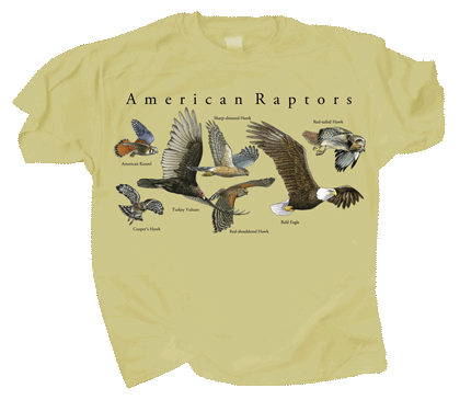 T-Shirt American Raptors