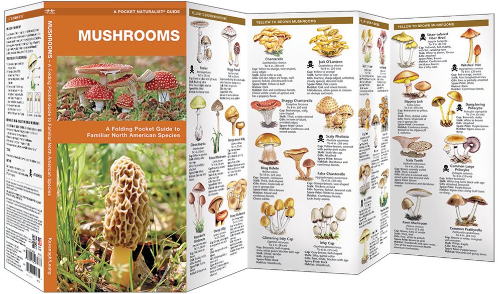 Mushrooms Folding Guide of NA