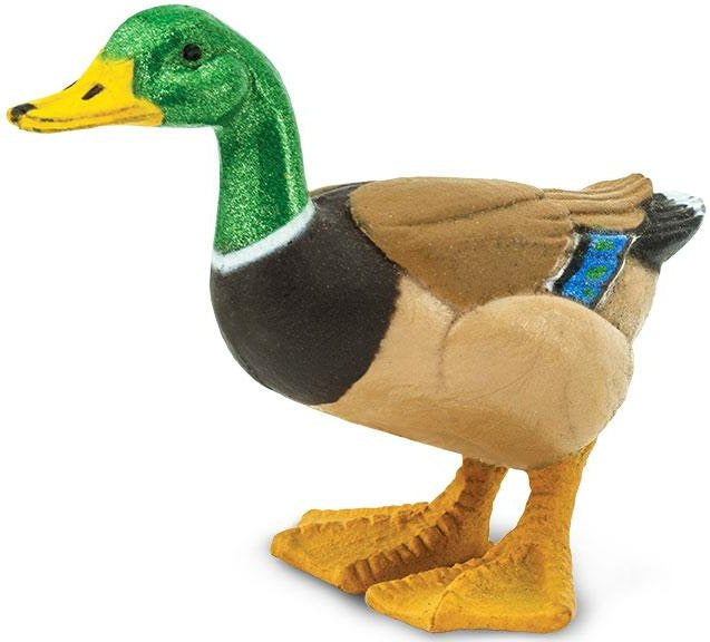 Safari Ltd Mini Duck