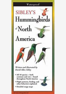 Sibley's Hummingbirds of NA